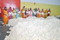 Manufacturers Exporters and Wholesale Suppliers of Raw Cotton 01 Mumbai Maharashtra